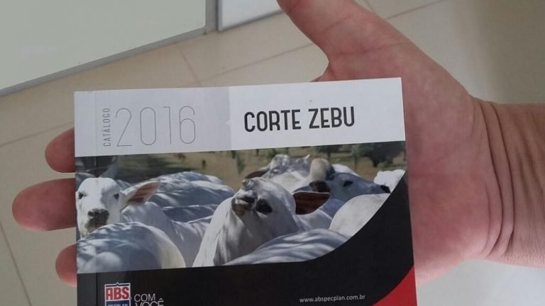 ABS lança Mini Catálogo com novas opções de genéticas zebuínas ABS lança Mini Catálogo com novas opções de genéticas zebuínas