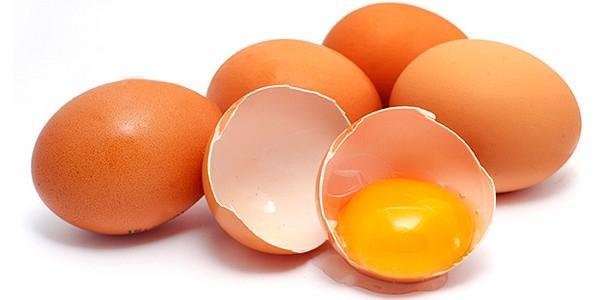 Consumo de ovos deve seguir favorecido em 2017 Consumo de ovos deve seguir favorecido em 2017