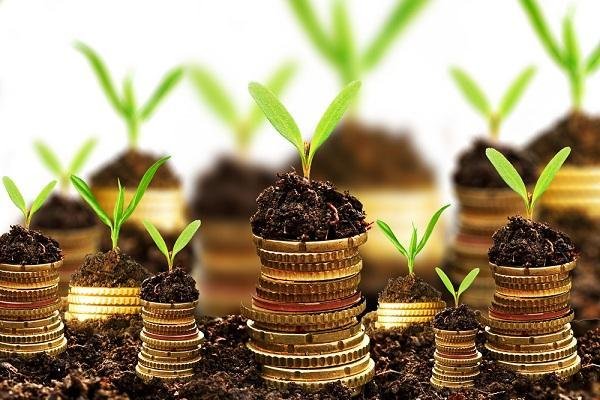 Santander libera crédito rural para compra de fertilizantes Santander libera crédito rural para compra de fertilizantes
