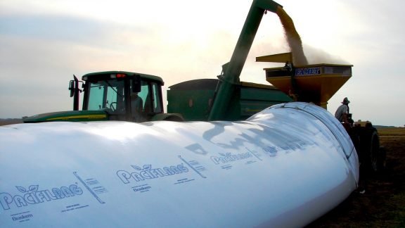 Clima favorável tem beneficiado lavouras e explica safra recorde estimada