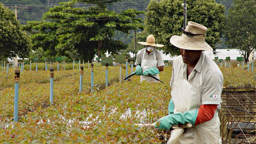volta por cima: depois de ser afetada com o desastre de Mariana, a Cenibra conseguiu se superar, garantindo resultados positivos. O presidente da companhia, Naohiro Doi credita parte desse resultado ao bom empenho profissional dos 7,7 mil funcionários da empresa