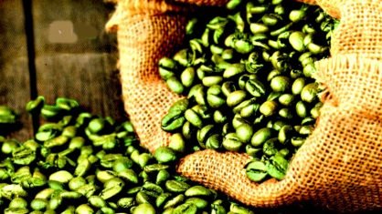 Cooxupé diz duvidar que governo autorizará importação de café