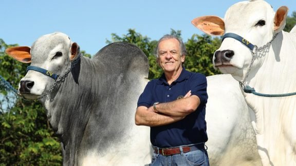 Viacava sai da diretoria da Associação Brasileira dos Criadores de Zebu
