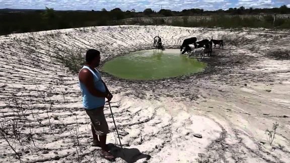 CMN amplia renegociação de dívidas de produtores de milho de Sergipe e Bahia