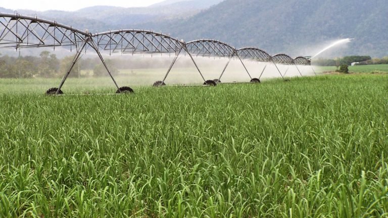 Área irrigada no Brasil cresce 4% em 2016, para 5,623 milhões de hectares Área irrigada no Brasil cresce 4% em 2016, para 5,623 milhões de hectares