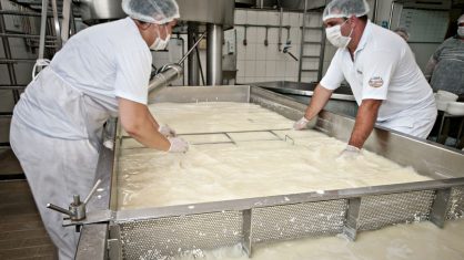 como na itália : no laticínio onde é processado o leite das búfalas, a fabricação do queijo é quase artesanal, como ocorre em seu país de origem