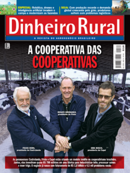 Edição nº160 - Edição 160
