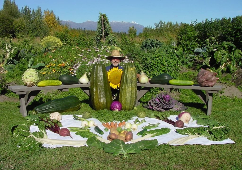 Vegetais gigantes do Alasca - Dinheiro Rural