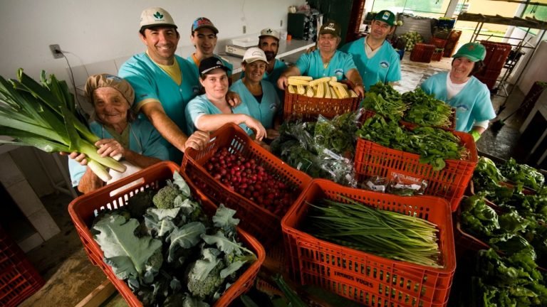 Programa de garantia de preços contempla 18 produtos em fevereiro Programa de garantia de preços contempla 18 produtos em fevereiro