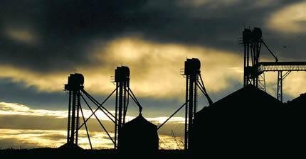 A força dos silos A força dos silos
