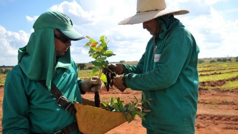 Eldorado treina líderes florestais para mais competitividade no campo Eldorado treina líderes florestais para mais competitividade no campo