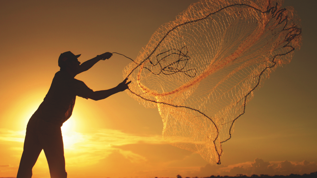 Semana do pescado pode ampliar o consumo de peixes pelo País Semana do pescado pode ampliar o consumo de peixes pelo País