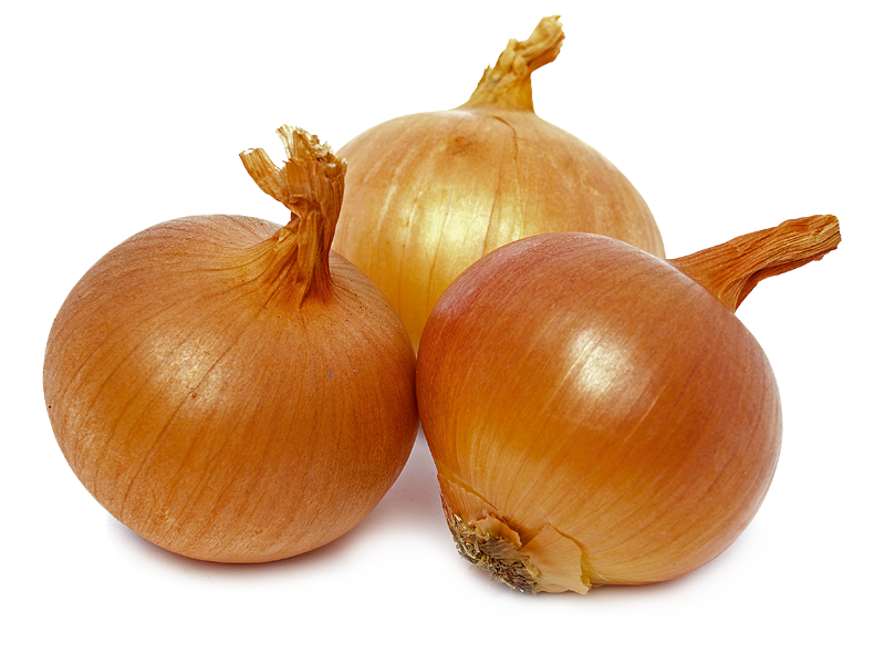 27º Seminario Nacional De Cebola Reune Setores Da Cadeia Produtiva Da Cebola Do Brasil E Mercosul Em Ituporanga Sc Dinheiro Rural