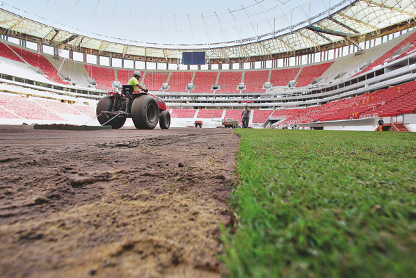 Tapete Verde em Campo Tapete Verde em Campo
