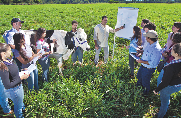 Suinocultura reforça equipe de campo Suinocultura reforça equipe de campo