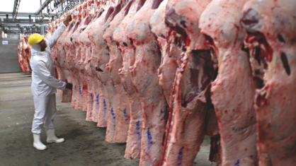 Frigorífico pressiona cotação da carne bovina e liquidez diminui ...