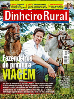 Edição nº113 - Edição 113