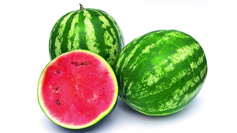 Com maior oferta, preço da melancia deve se enfraquecer Com maior oferta, preço da melancia deve se enfraquecer