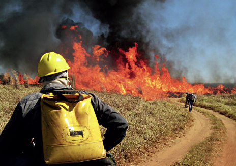 Brigadistas combatem focos de incêndio em propriedades rurais. No ano passado, foram 143 focos.