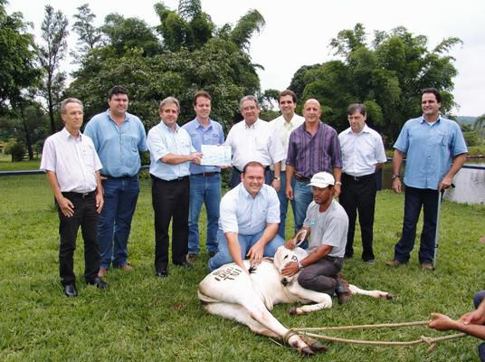 2000 É criado o primeiro clone bovino no País. Nasce o Brazilian Cattle, para exportar zebuínos vivos. O genoma do nelore é concluído pela Universidade Estadual Paulista.