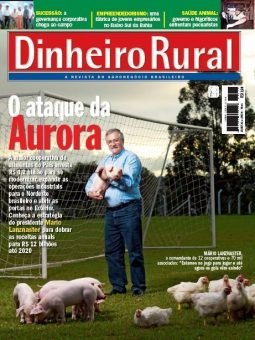 Edição nº116 - Edição 116