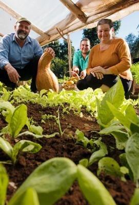 Mais de três milhões de agricultores aderiram ao Garantia-Safra Mais de três milhões de agricultores aderiram ao Garantia-Safra
