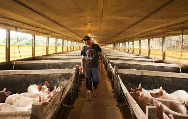 BRDE na Mercoagro assina contratos de R$ 72 milhões com cooperativas BRDE na Mercoagro assina contratos de R$ 72 milhões com cooperativas