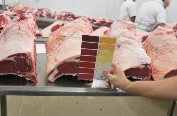Pflanzer analisou a coloração da carne Camila Barrionovo