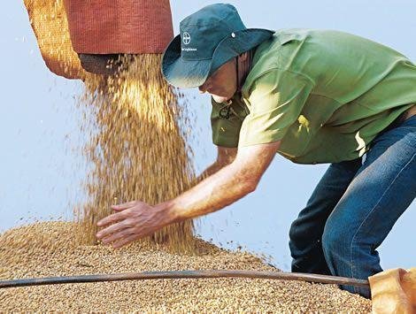 Valor da produção crescerá 5% em 2014 Valor da produção crescerá 5% em 2014