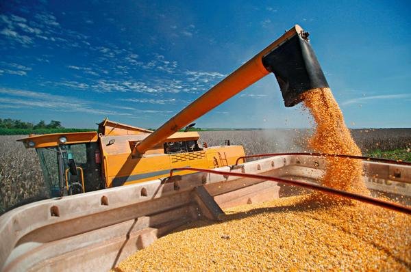 397ª Cantagalo General Grains: Empresa ligada ao grupo Coteminas está ampliando a entrega de grãos por meio do porto de Itaqui, no Maranhão. 397ª Cantagalo General Grains: Empresa ligada ao grupo Coteminas está ampliando a entrega de grãos por meio do porto de Itaqui, no Maranhão.
