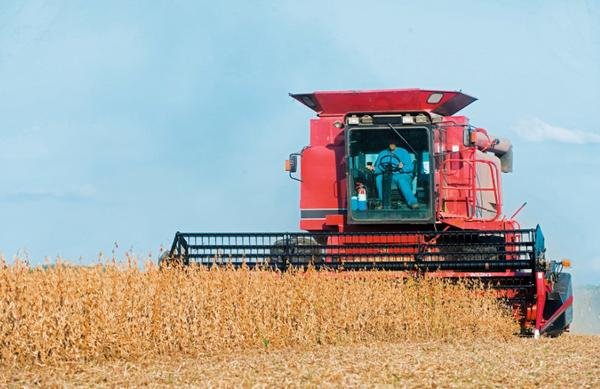 Governo autoriza safrinha de soja até 1º de junho em Mato Grosso Governo autoriza safrinha de soja até 1º de junho em Mato Grosso