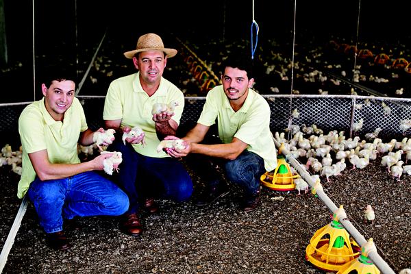 Contabilidade responsável: o prefeito de Tapurah, Luiz Eickhoff, com a ajuda dos filhos Leonardo (à esq.) e André produziu 3,8 milhões de aves, em 2014 e faturou R$ 2,1 milhões, com um controle criterioso dos custos.
