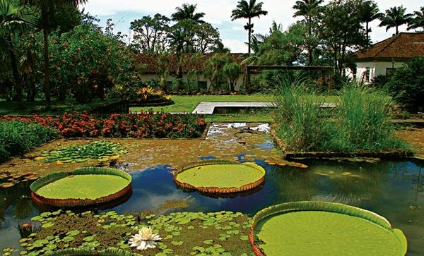 Um jardim na fazenda Um jardim na fazenda