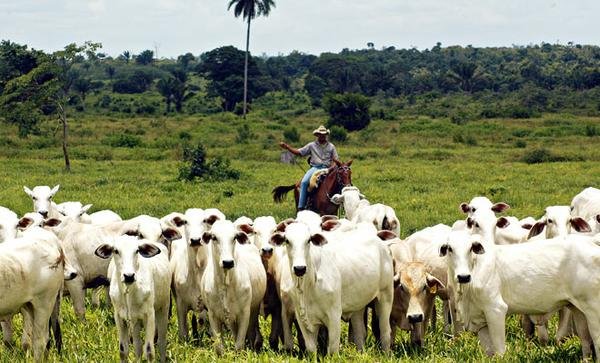 Pará no caminho da integraçao Pará no caminho da integraçao