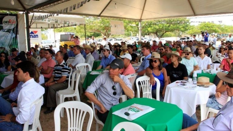Agro Jacarezinho apresenta os reprodutores DEPPLUS (DEP Genômica) Agro Jacarezinho apresenta os reprodutores DEPPLUS (DEP Genômica)