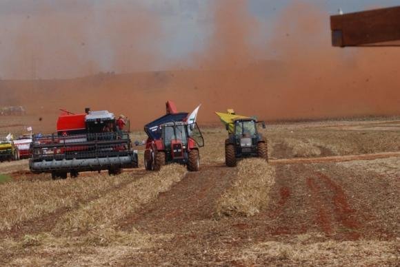 Safra deste ano deverá ser 5,9% maior do que a de 2014 Safra deste ano deverá ser 5,9% maior do que a de 2014
