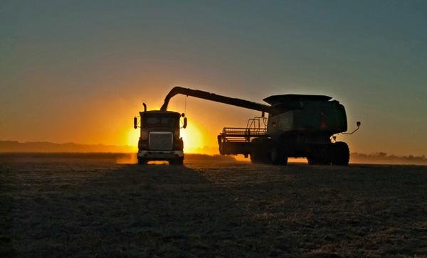 Agronegócio brasileiro vai à COP-21 em busca de reconhecimento à sua produção sustentável e investidores globais Agronegócio brasileiro vai à COP-21 em busca de reconhecimento à sua produção sustentável e investidores globais