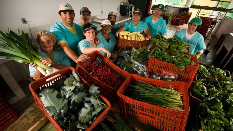 TOTVS lança pacote de soluções para pequenos produtores agrícolas TOTVS lança pacote de soluções para pequenos produtores agrícolas