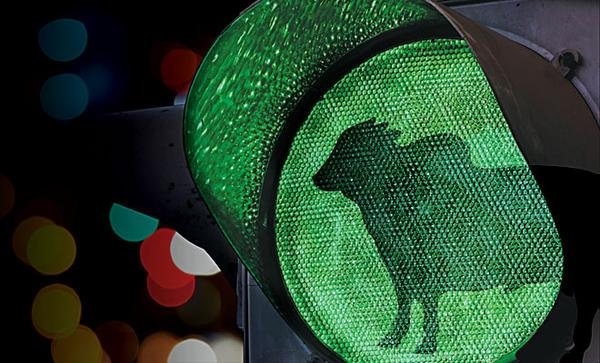 a nova onda verde da pecuária brasileira a nova onda verde da pecuária brasileira