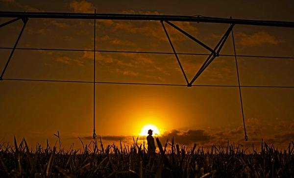 Os 100 nomes mais influentes do agronegócio – Agricultura Os 100 nomes mais influentes do agronegócio – Agricultura