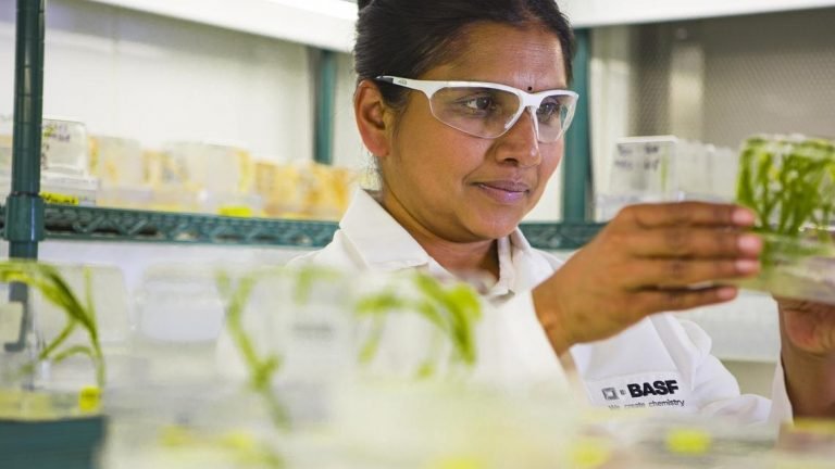 Mulheres estão em 29% dos cargos de liderança da Basf na América do Sul Mulheres estão em 29% dos cargos de liderança da Basf na América do Sul
