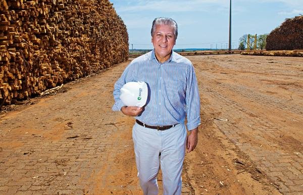 A energia que vem do eucalipto A energia que vem do eucalipto