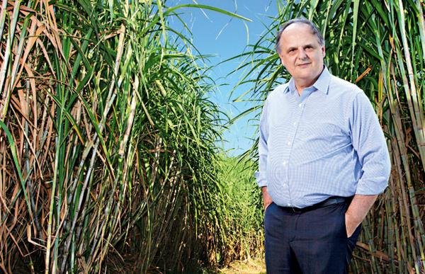 Tereos inaugura unidade para centralizar serviços corporativos no Brasil Tereos inaugura unidade para centralizar serviços corporativos no Brasil