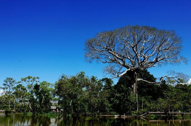Acordo de Paris exigirá medidas concretas e urgentes para reduzir efeitos das mudanças climáticas Acordo de Paris exigirá medidas concretas e urgentes para reduzir efeitos das mudanças climáticas
