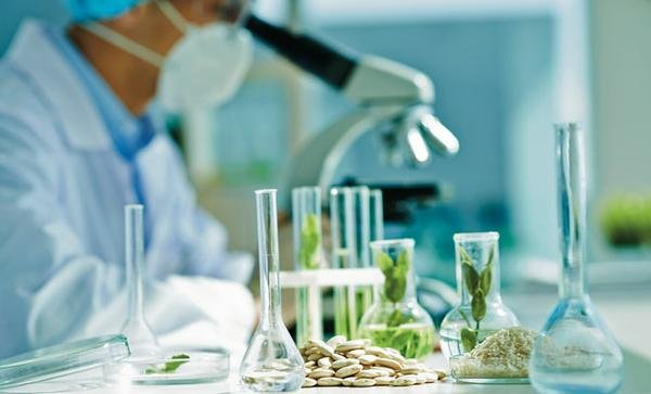 Biotecnologia ajuda a acabar com a fome no mundo Biotecnologia ajuda a acabar com a fome no mundo