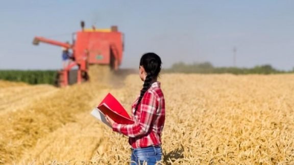 Pesquisa em 17 países mostra barreiras ao avanço das mulheres no agronegócio Pesquisa em 17 países mostra barreiras ao avanço das mulheres no agronegócio