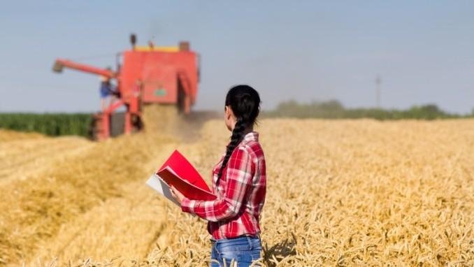 Pesquisa feita em 17 países aponta barreiras para avanço das mulheres no agronegócio Pesquisa feita em 17 países aponta barreiras para avanço das mulheres no agronegócio