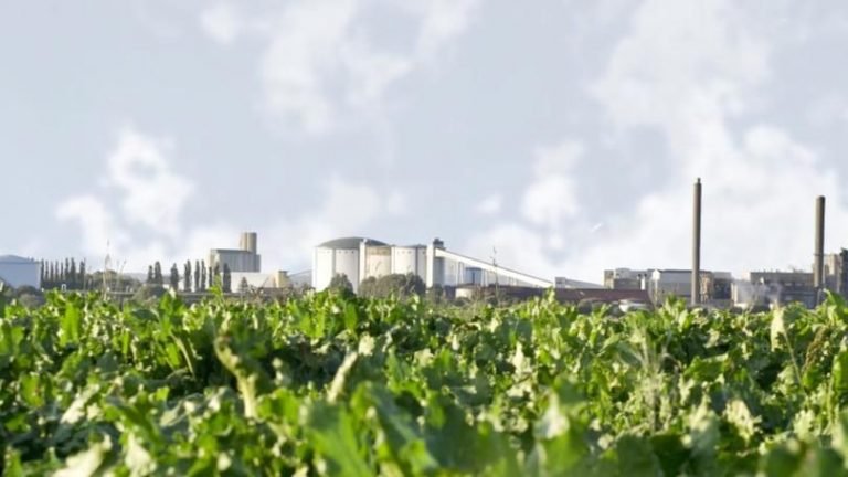 Tereos conquista financiamento de 400 milhões de euros com um prazo de sete anos Tereos conquista financiamento de 400 milhões de euros com um prazo de sete anos