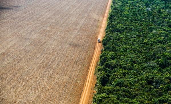 O futuro da terra produtiva O futuro da terra produtiva