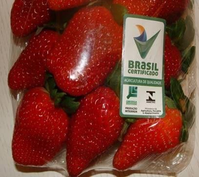 Mapa e Universidade Federal de Viçosa promovem curso sobre produção integrada Mapa e Universidade Federal de Viçosa promovem curso sobre produção integrada